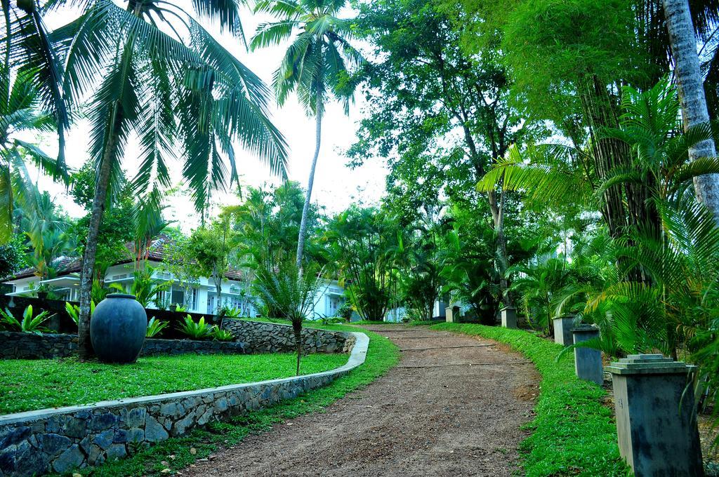 Village Headman'S Five Bedrooms Entire Bungalow Induruwa Exterior photo